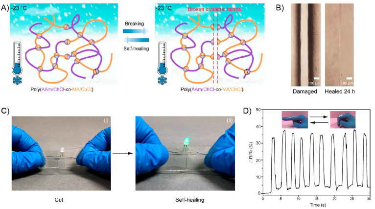 Figure 43