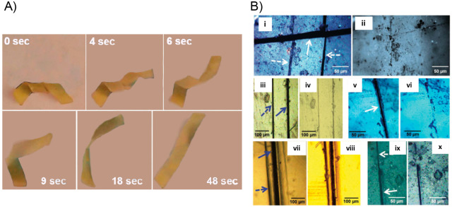 Figure 33