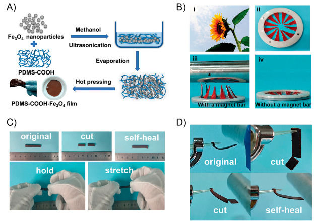 Figure 24