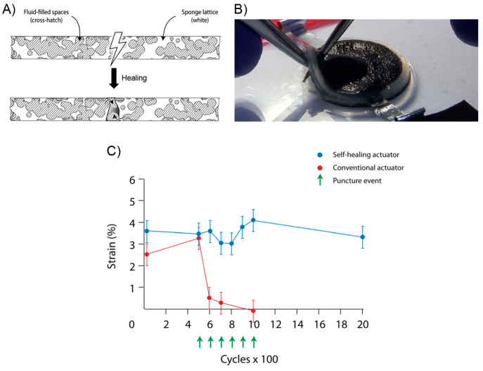 Figure 39