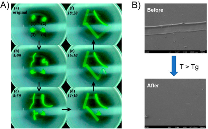 Figure 30