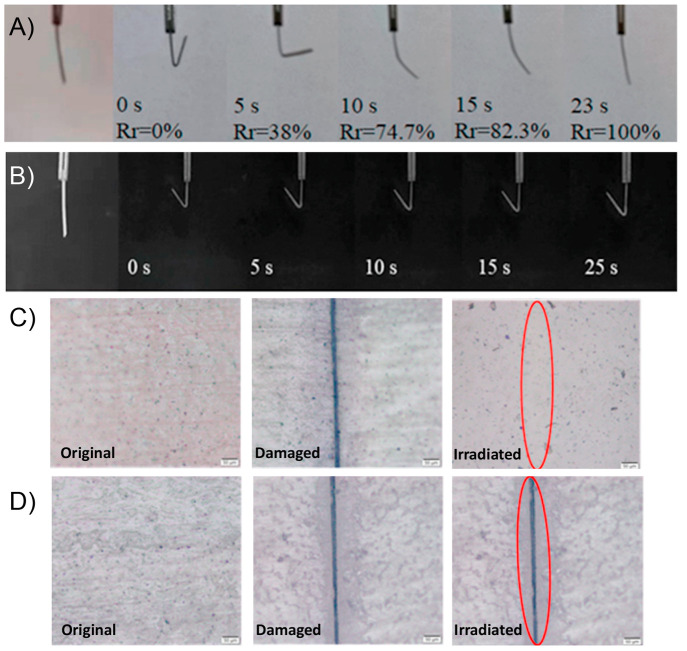 Figure 14