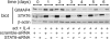 F<sc>ig</sc>. 8.