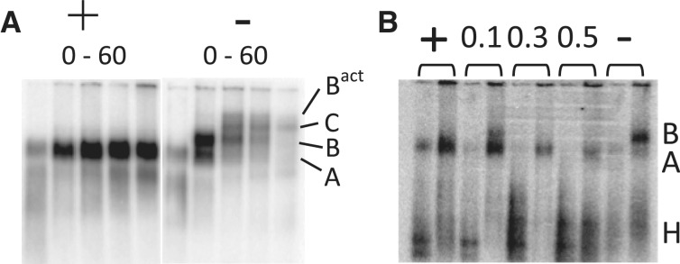 Figure 5.