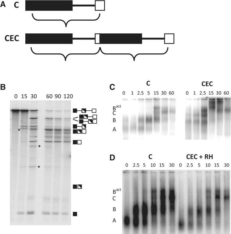 Figure 6.