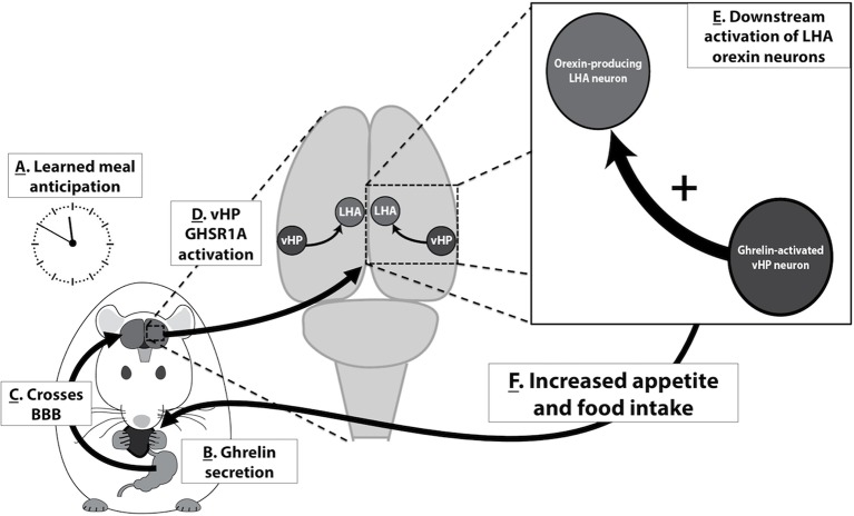 Figure 9.