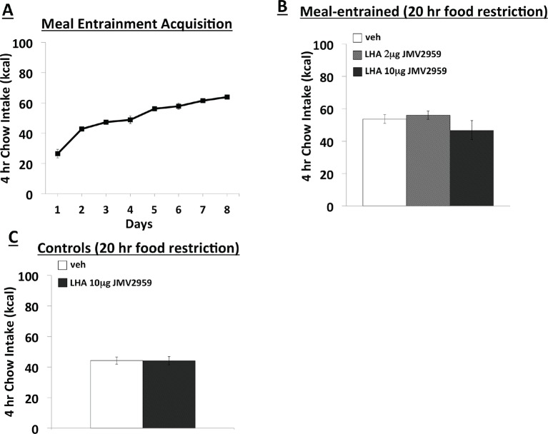 Figure 2—figure supplement 1.