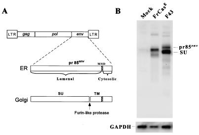 FIG. 4.