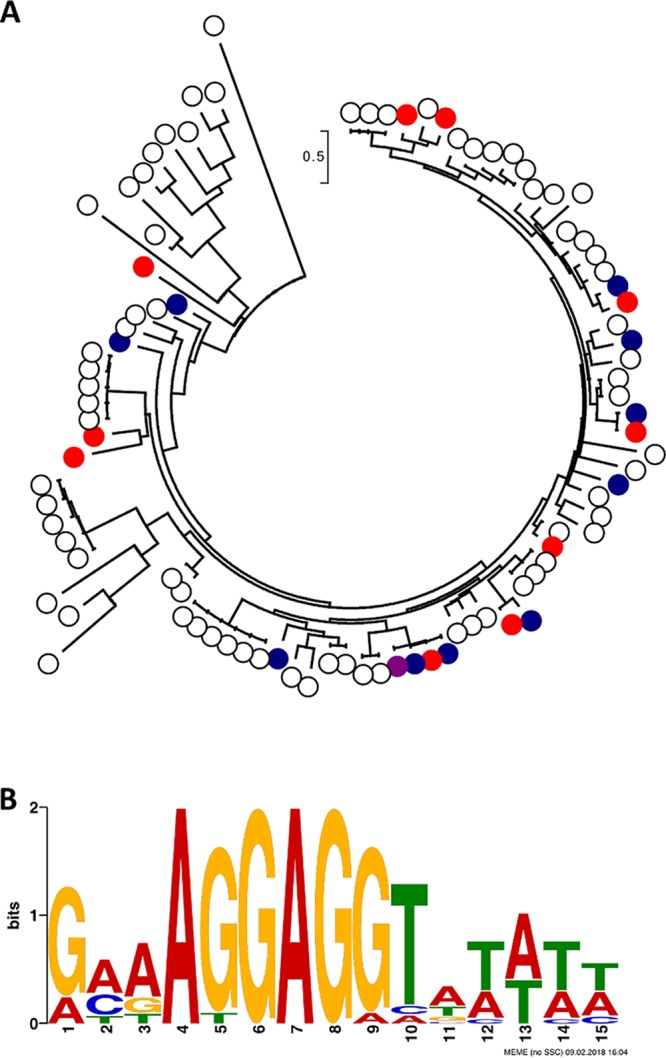 FIG 6 