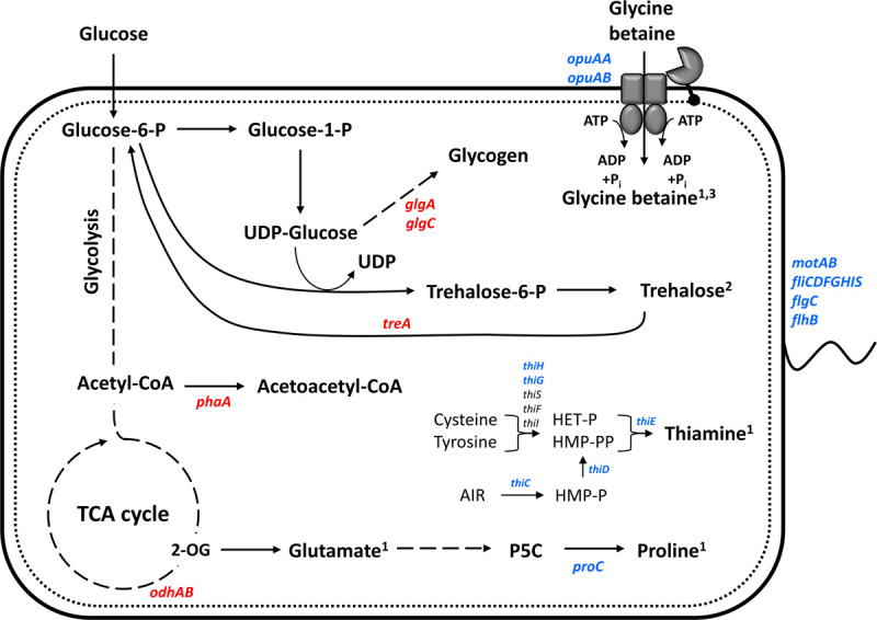 FIGURE 9