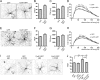 FIGURE 10.