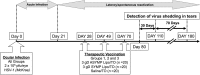 FIG 3