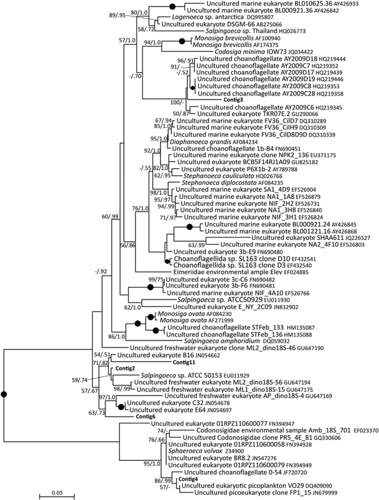 Figure 6