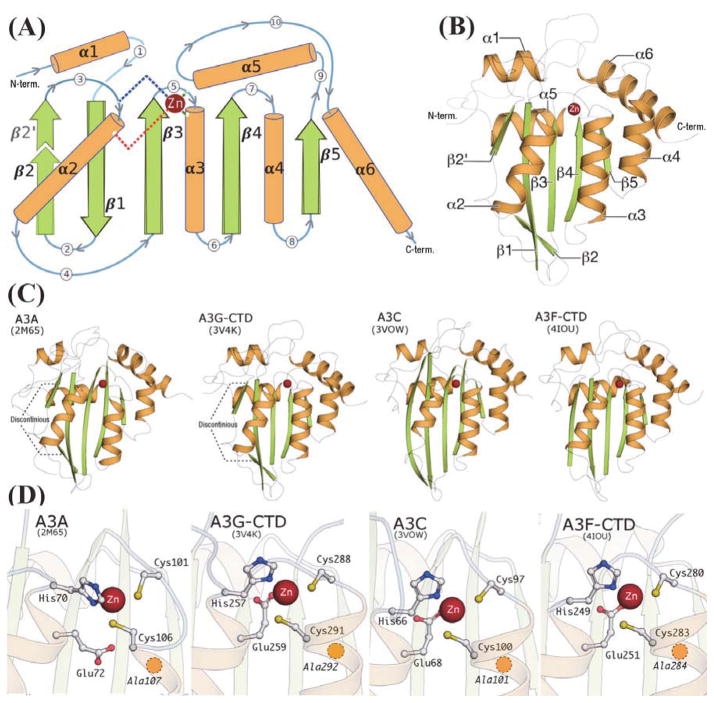 FIGURE 3