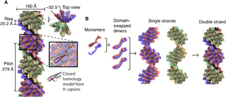 Fig. 2