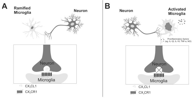 Fig. (3)