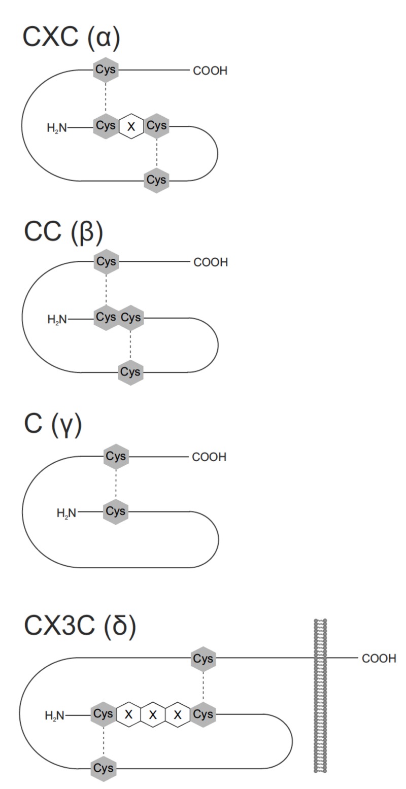 Fig. (1)