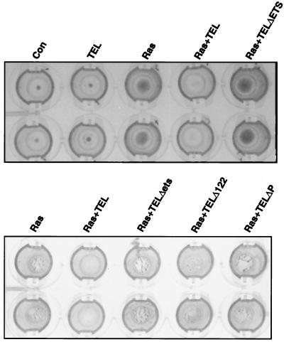 FIG. 8