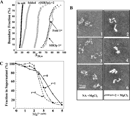 FIG. 5.