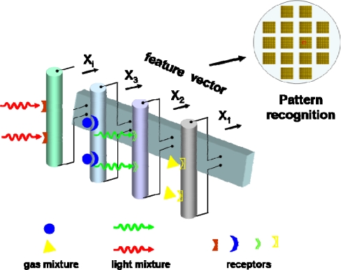 Figure 11.