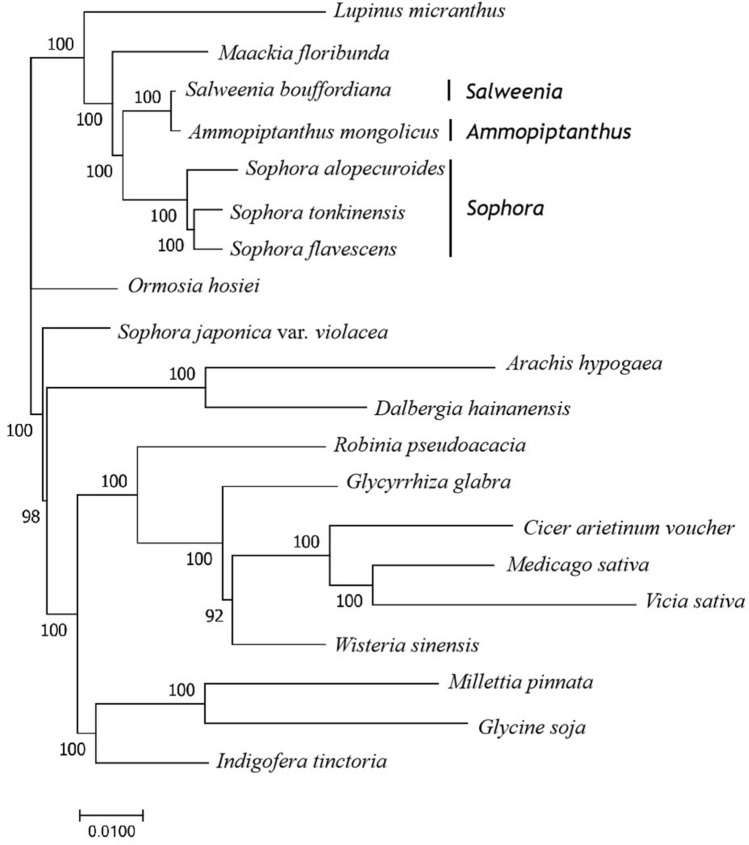 Figure 9