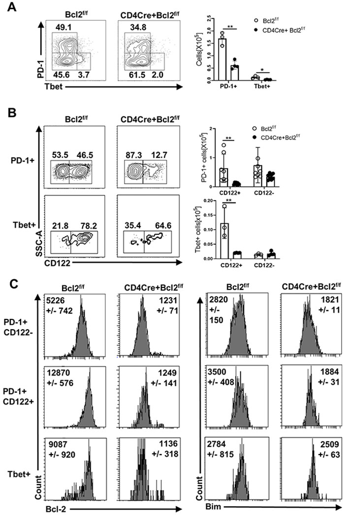 Fig 2.