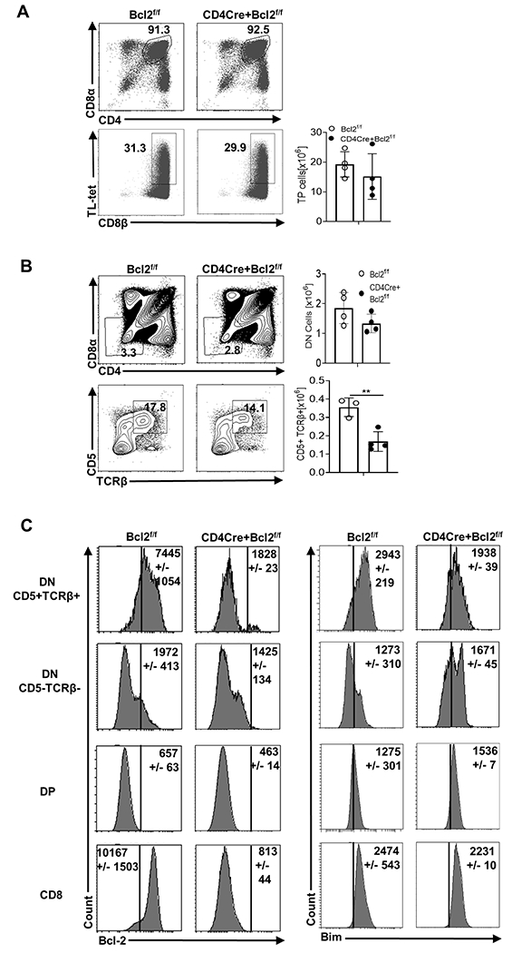 Fig 1.