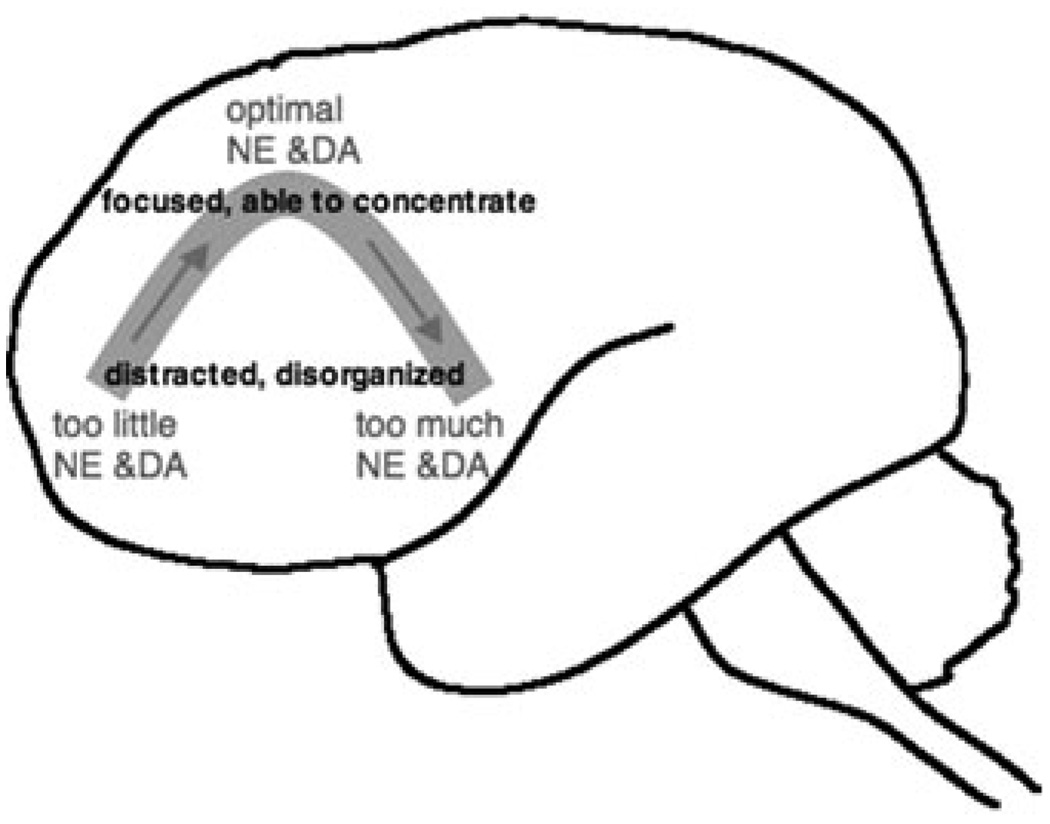 FIGURE 1