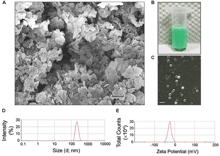 FIGURE 2