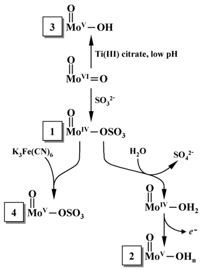 Scheme 1