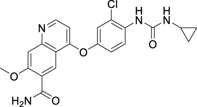 graphic file with name FPHAR_fphar-2023-1307860_wc_tfx10.jpg