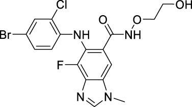 graphic file with name FPHAR_fphar-2023-1307860_wc_tfx22.jpg