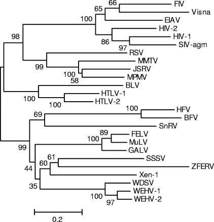 FIG. 5.