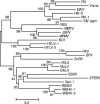 FIG. 5.