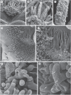 Fig. 4.