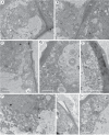 Fig. 10.