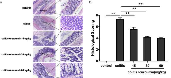 Figure 2. a, b