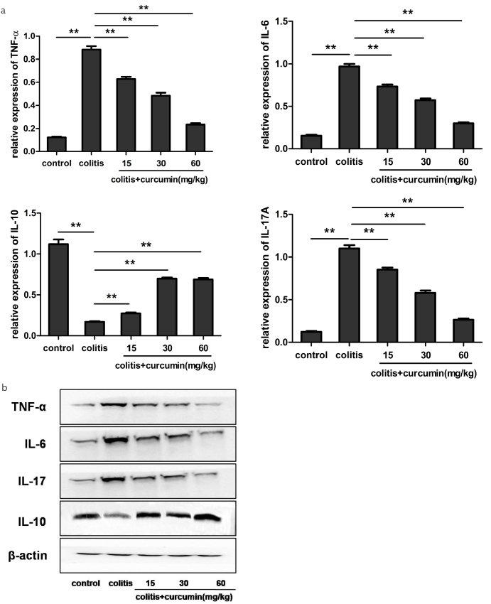 Figure 3. a, b