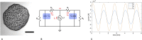 Fig 16