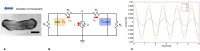 Fig 17