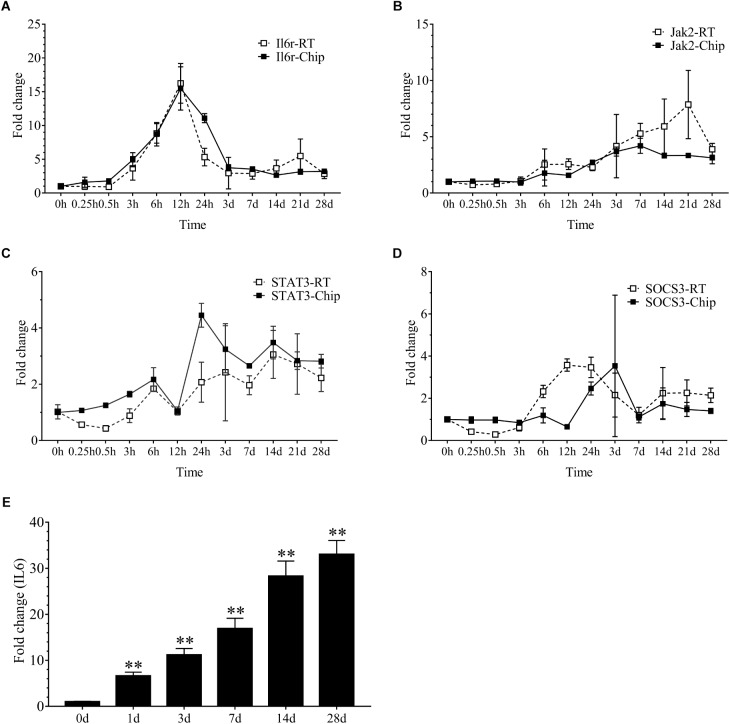 FIGURE 2