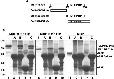 FIG. 5.