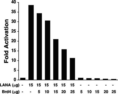 FIG. 8.