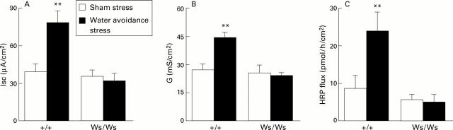 Figure 1  