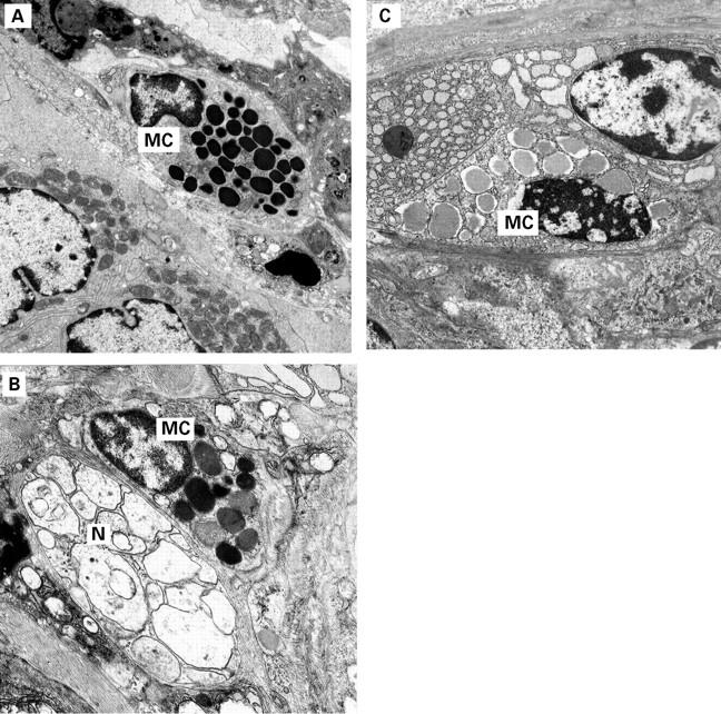 Figure 3  