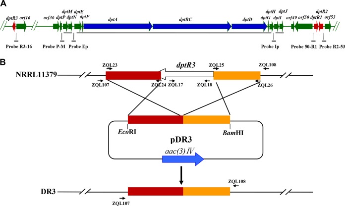 FIG 1