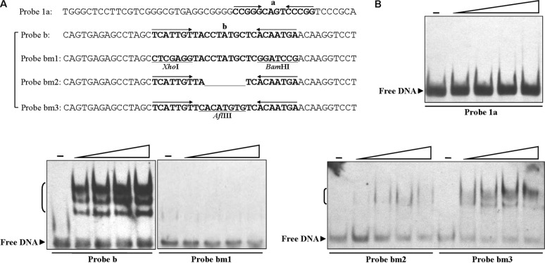 FIG 6