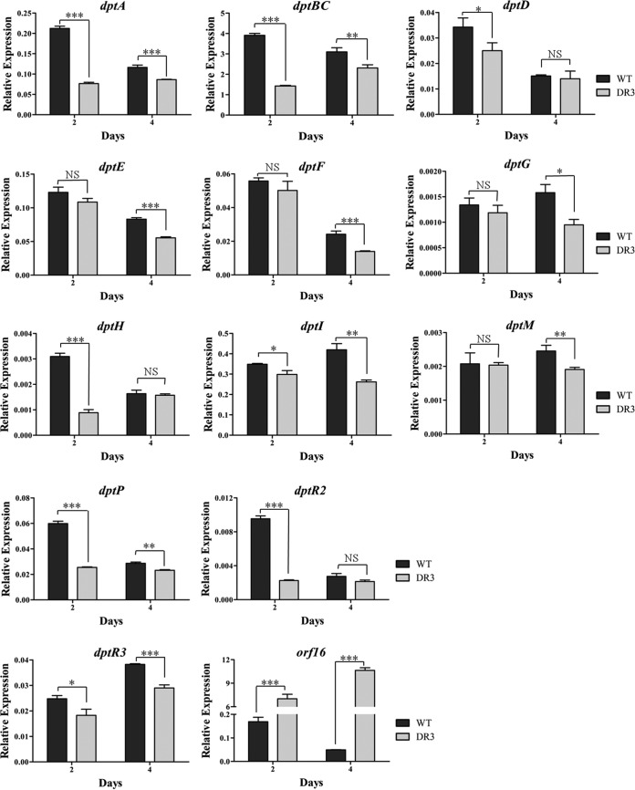 FIG 3