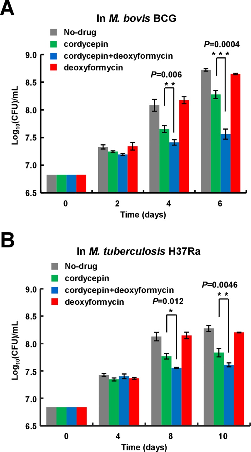 Fig 6