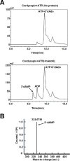 Fig 4